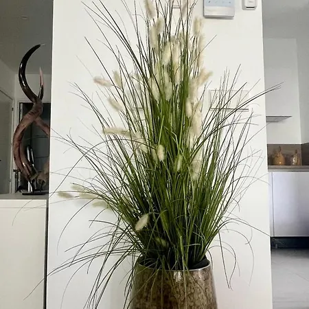 Oase Van Rust Daire Palm-mar